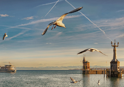 Referenz: Verwaltungsbehörde, Interreg Alpenrhein-Bodensee-Hochrhein / Word-Broschüre für Jahresbericht und Büro-Korrespondenz.